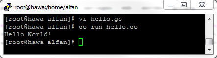 Go – Hello World