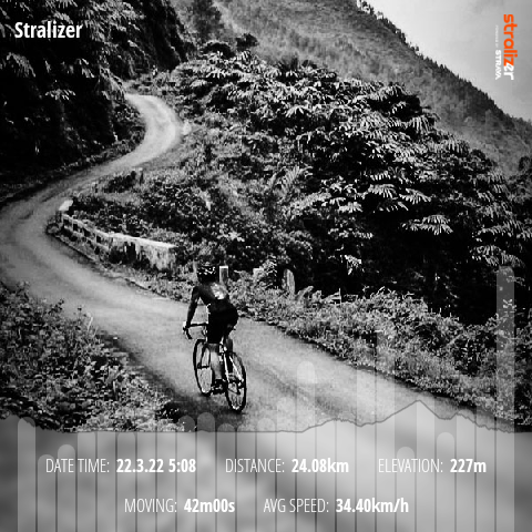 Pacer Holic Pacer Holic